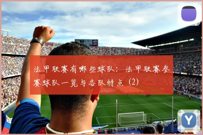 法甲联赛有哪些球队：法甲联赛参赛球队一览与各队特点 (2)