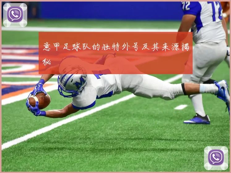意甲足球队的独特外号及其来源揭秘