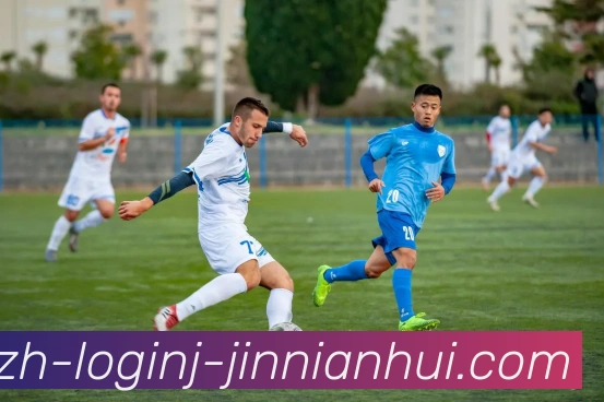 多媒体互动体验